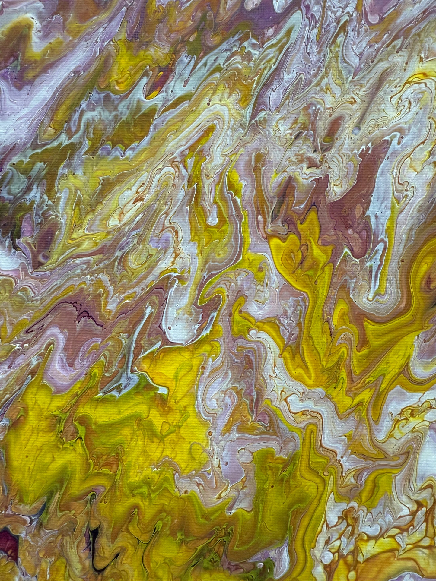 Eco🖌️
